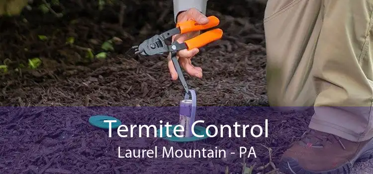 Termite Control Laurel Mountain - PA