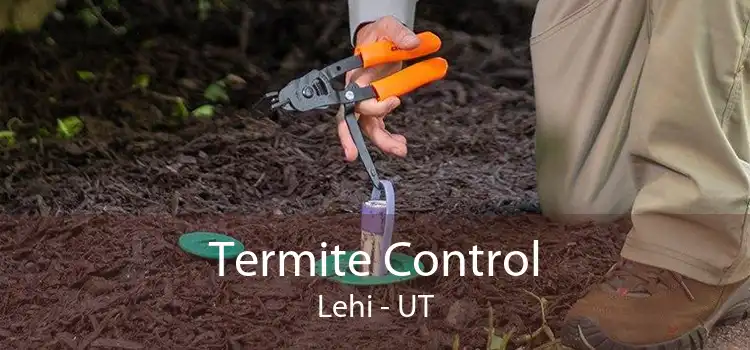 Termite Control Lehi - UT