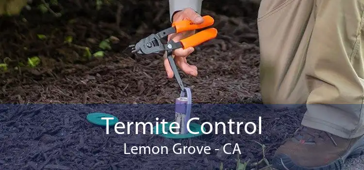 Termite Control Lemon Grove - CA