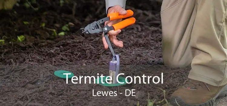 Termite Control Lewes - DE
