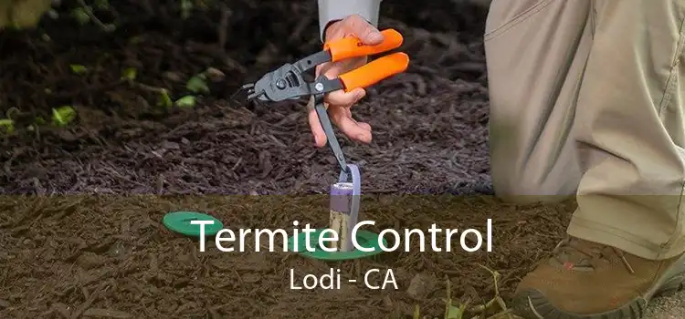 Termite Control Lodi - CA