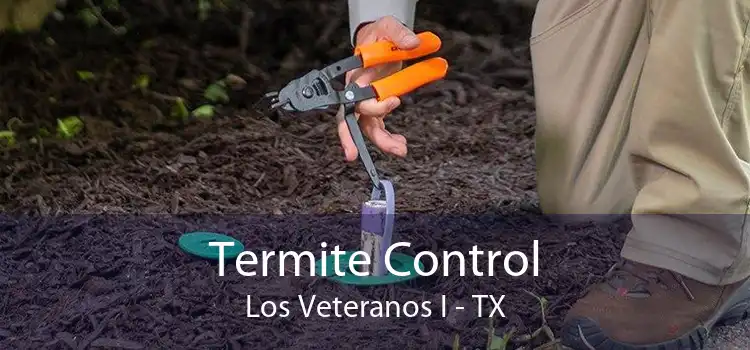 Termite Control Los Veteranos I - TX