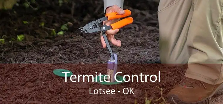 Termite Control Lotsee - OK