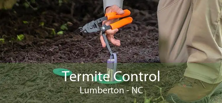 Termite Control Lumberton - NC