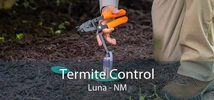 Termite Control Luna - NM
