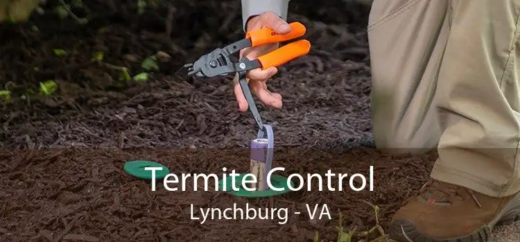 Termite Control Lynchburg - VA