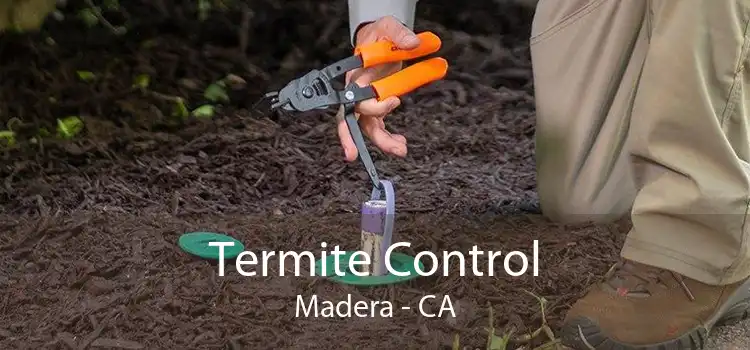 Termite Control Madera - CA