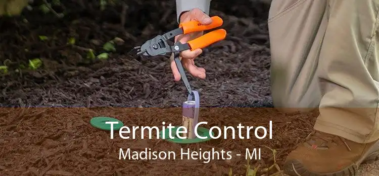 Termite Control Madison Heights - MI