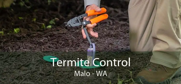 Termite Control Malo - WA