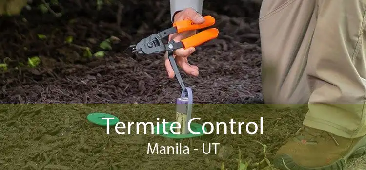 Termite Control Manila - UT