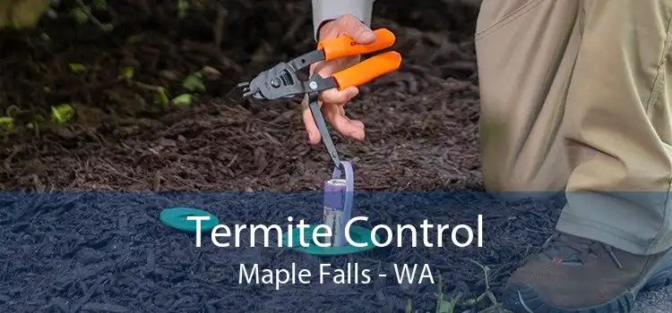 Termite Control Maple Falls - WA