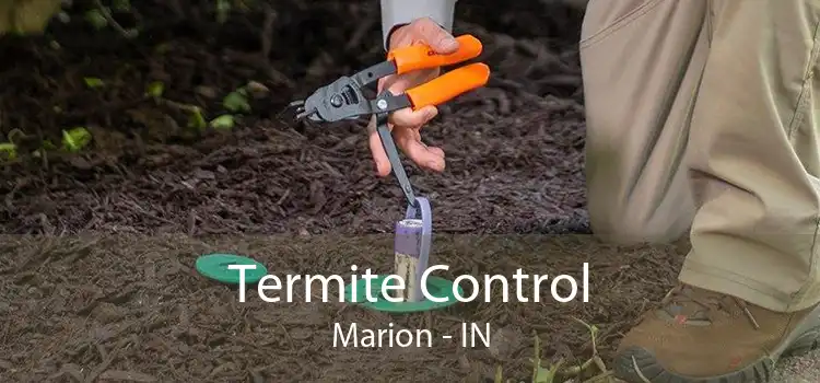 Termite Control Marion - IN
