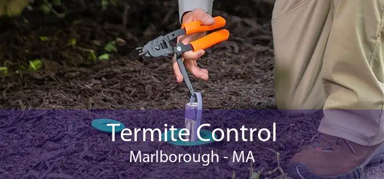 Termite Control Marlborough - MA