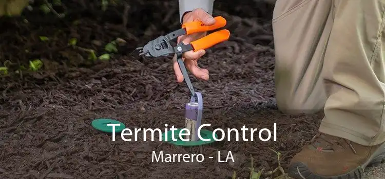Termite Control Marrero - LA
