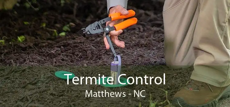Termite Control Matthews - NC