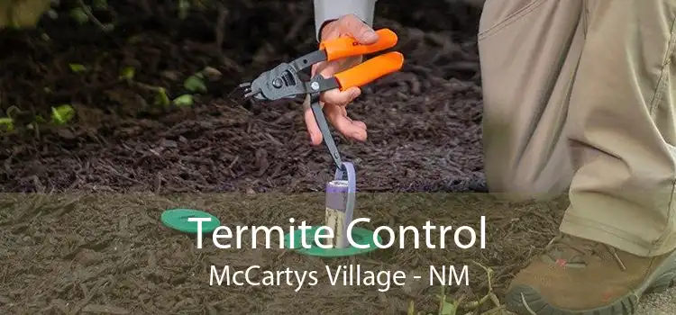 Termite Control McCartys Village - NM