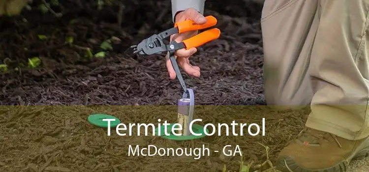 Termite Control McDonough - GA