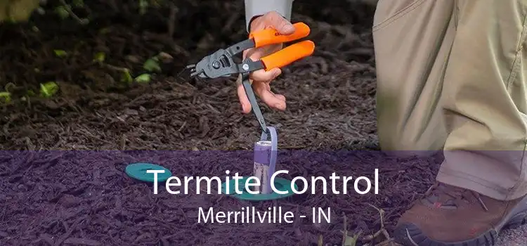 Termite Control Merrillville - IN