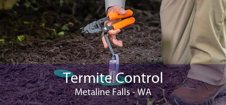 Termite Control Metaline Falls - WA
