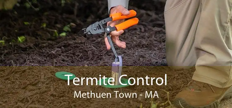 Termite Control Methuen Town - MA
