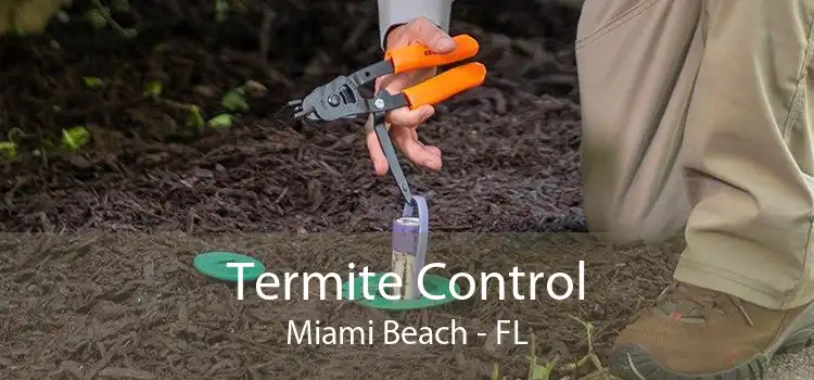 Termite Control Miami Beach - FL