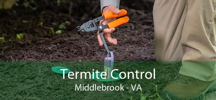 Termite Control Middlebrook - VA