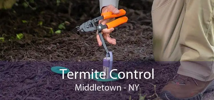 Termite Control Middletown - NY