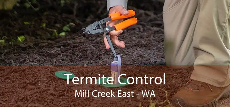 Termite Control Mill Creek East - WA