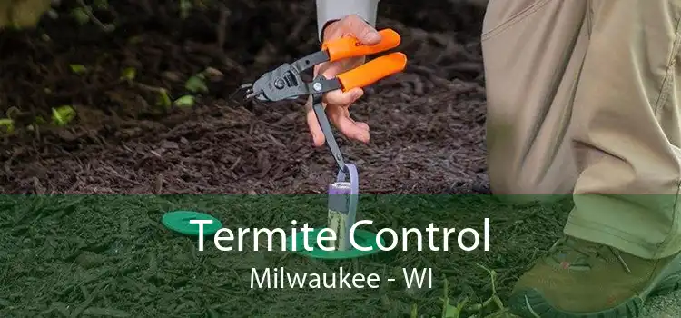 Termite Control Milwaukee - WI