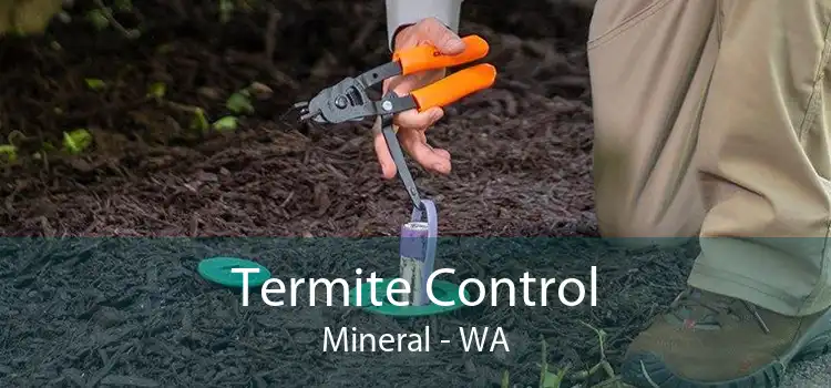 Termite Control Mineral - WA