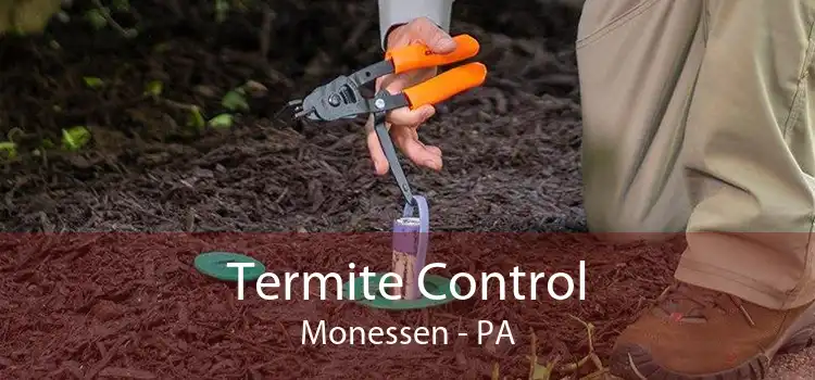 Termite Control Monessen - PA