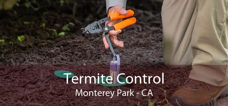 Termite Control Monterey Park - CA