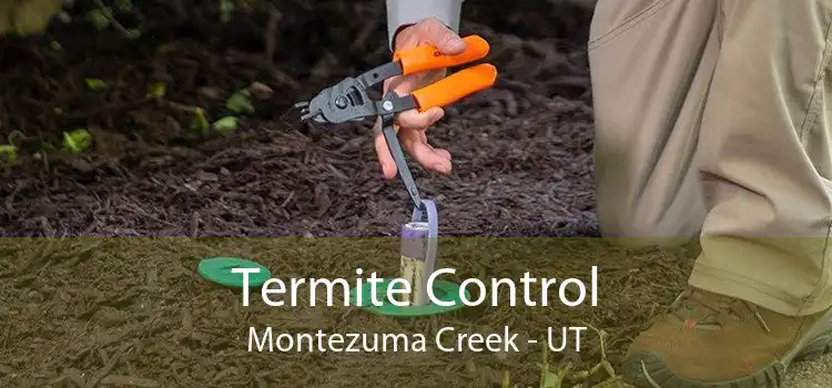 Termite Control Montezuma Creek - UT