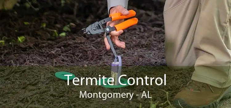 Termite Control Montgomery - AL