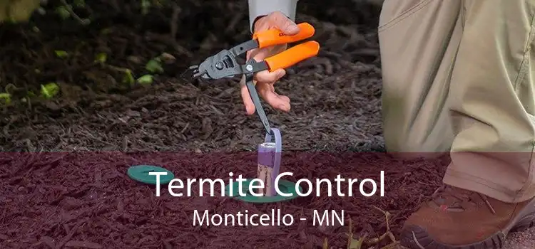 Termite Control Monticello - MN