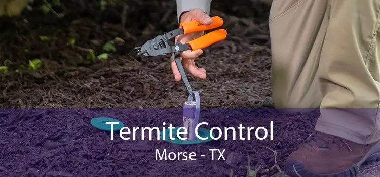 Termite Control Morse - TX