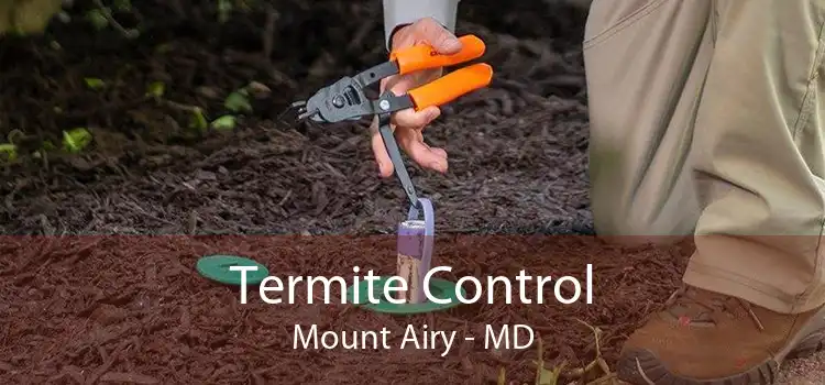 Termite Control Mount Airy - MD