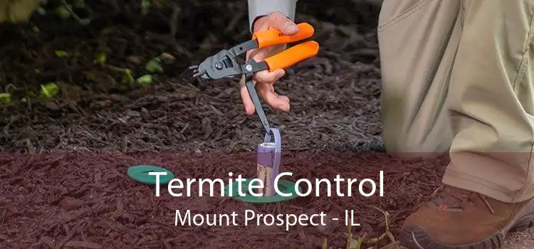 Termite Control Mount Prospect - IL