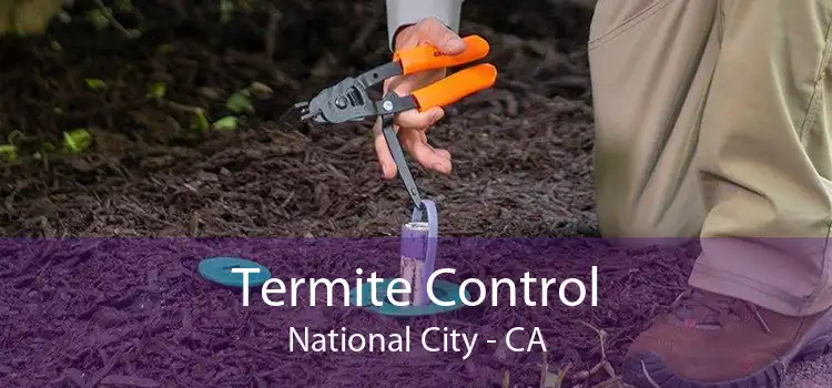 Termite Control National City - CA