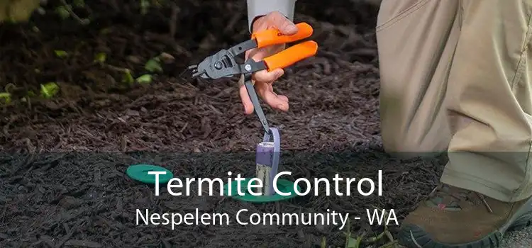 Termite Control Nespelem Community - WA