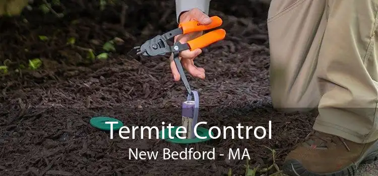 Termite Control New Bedford - MA