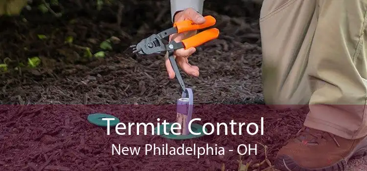 Termite Control New Philadelphia - OH