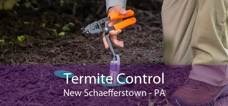 Termite Control New Schaefferstown - PA