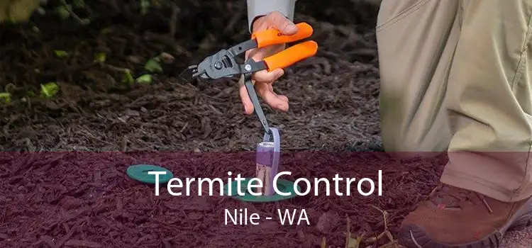 Termite Control Nile - WA