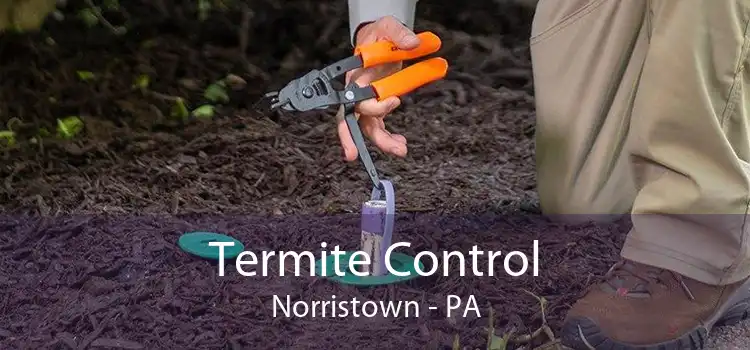 Termite Control Norristown - PA