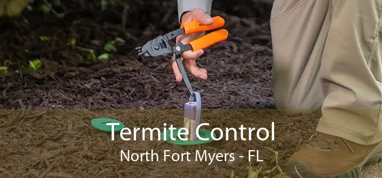 Termite Control North Fort Myers - FL