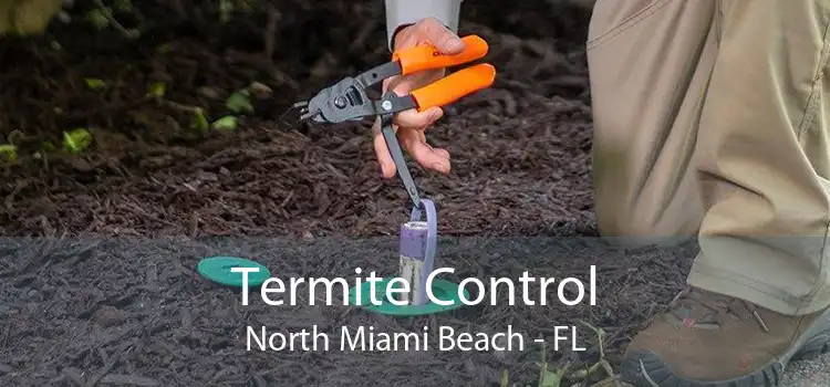 Termite Control North Miami Beach - FL