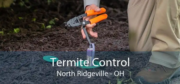 Termite Control North Ridgeville - OH