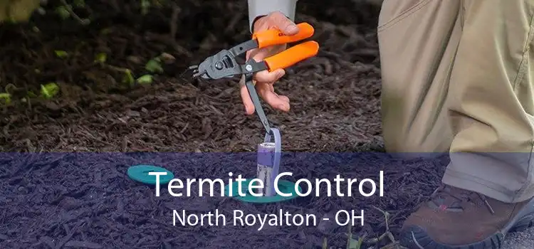 Termite Control North Royalton - OH