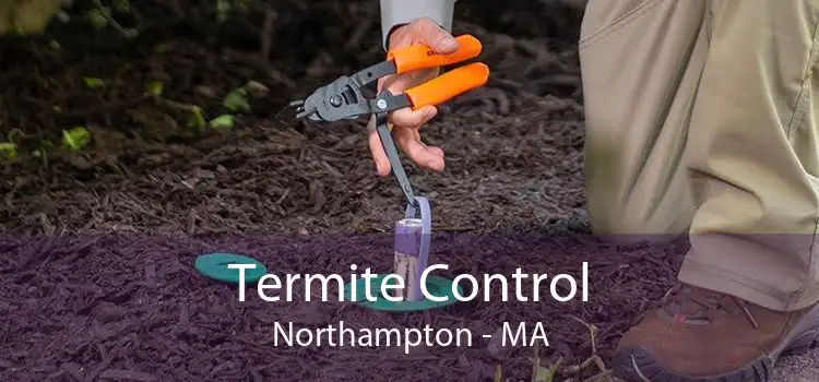 Termite Control Northampton - MA